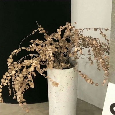 绛县福瑞交流群